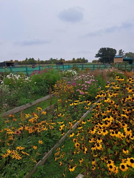 Sweet Briar Flower Farm